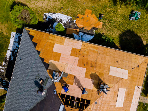 Best Roof Gutter Cleaning  in Divernon, IL