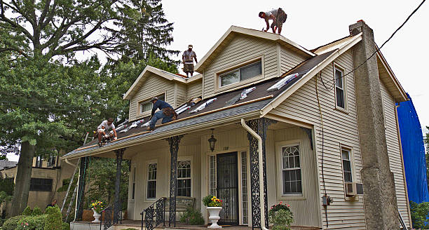 Roof Gutter Cleaning in Divernon, IL
